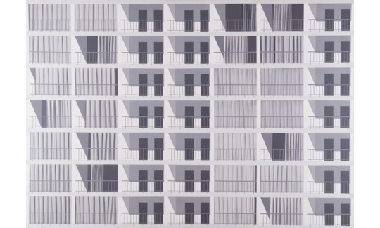 מיכה אולמן, בית משותף, 1971