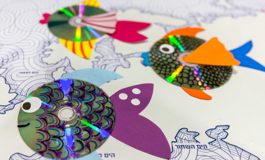 סדנת דג מנצנץ, המוזיאון