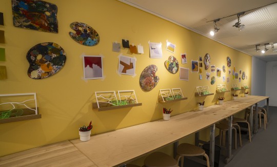 تصوير: إيلي بوزنر