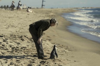 שיעורים בפינגווינית | The Penguin Lessons