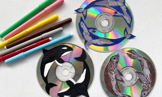 קרדיט: ג'ני כצנר