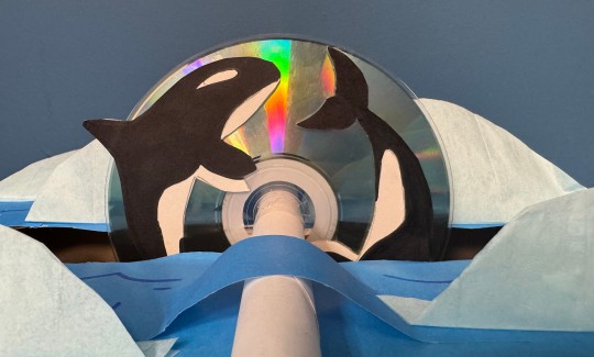 קרדיט: ג'ני כצנר