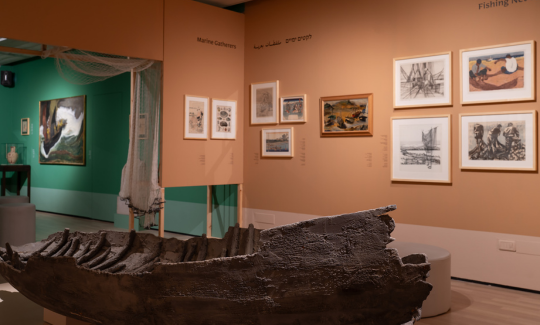 קרדיט: ג'ני כצנר