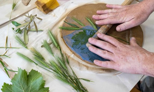 Фото: Евгения Кацнер