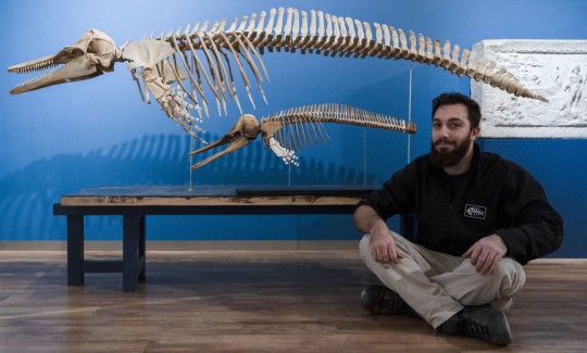 עדן זץ לצד שלדים של דולפינן