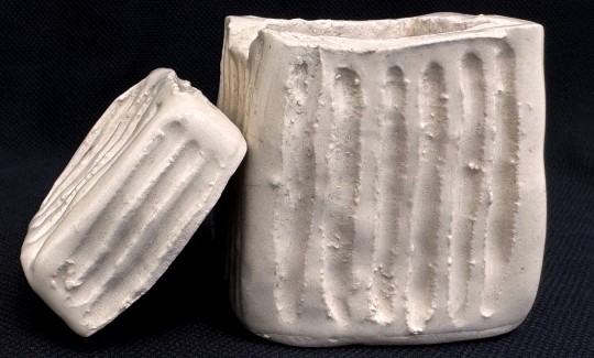 קרדיט: ג'ני כצנר