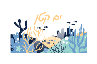 מוזיאון עד הבית | סדנאות DIY לילדים וילדות