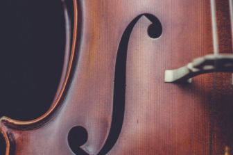 הצ'לו, מיתרי הקול האנושי