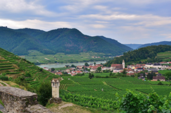 יהודים ותרבות יהודית לאורך הדנובה