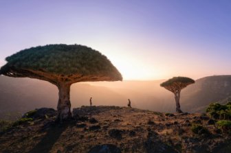 ובדילוג רחוק: תימן