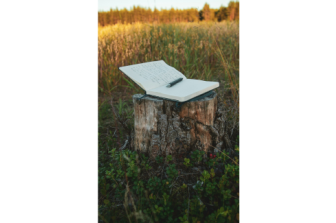 איך שיר נולד? מיומנו של מלחין