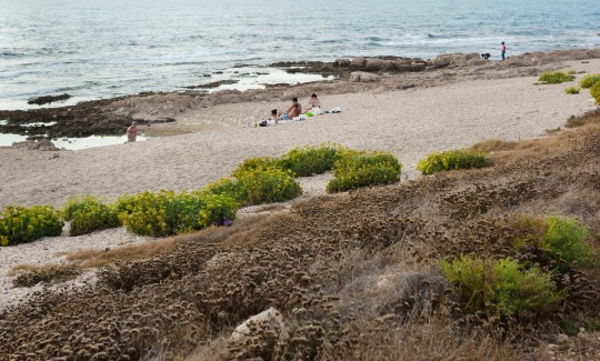 יגאל פליקס, שמורת שקמונה