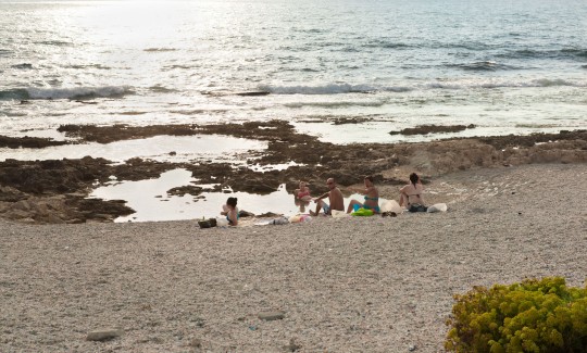 יגאל פליקס, שמורת שקמונה