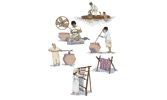 שלבי ייצור עיקריים, איור: