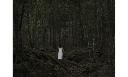 بيير إيلي دي فابريك، من