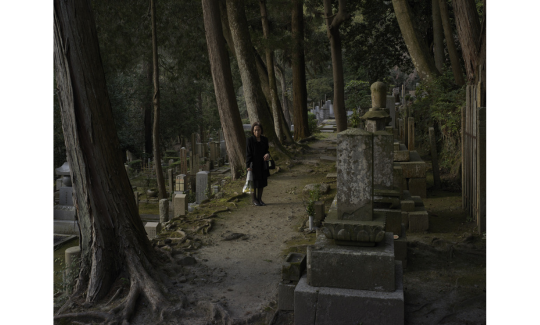 Pierre-Elie de Pibrac, Hakanaisonzai series