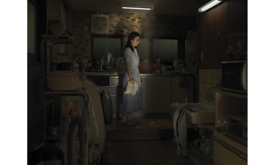 Пьер-Эли де Пибрак, серия