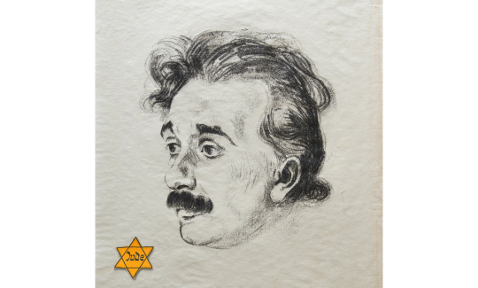 Gil Goren, portrait of Albert Einstein with yellow
