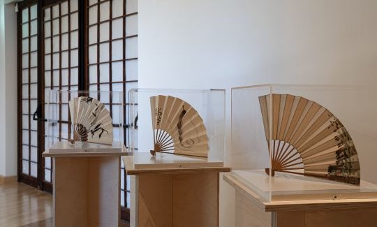 קרדיט: ג'ני כצנר