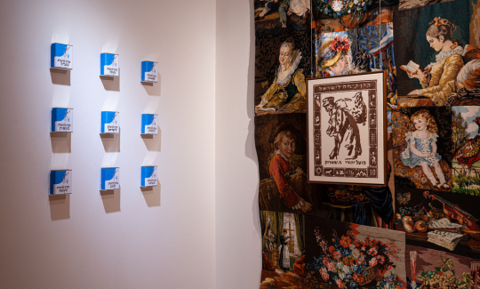 קרדיט צילום: ג'ני כצנר