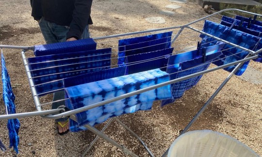 קרדיט: יעל הרניק