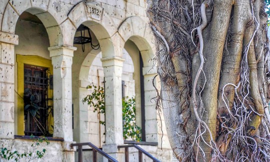 קרדיט: ג'ני כצנר