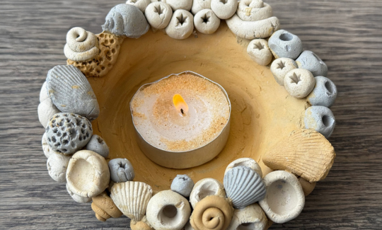 קרדיט: ג'ני כצנר