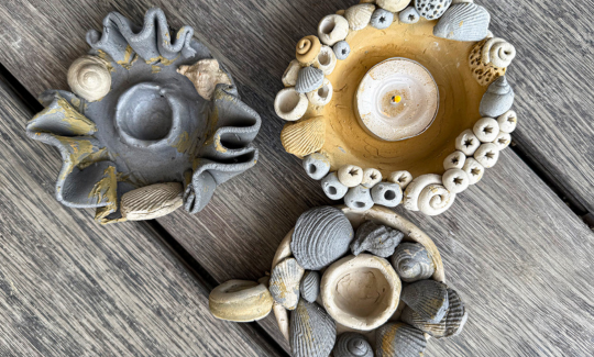 קרדיט: ג'ני כצנר