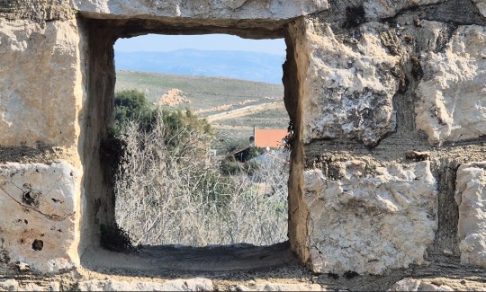 תמר שליט-אבני, מתוך ווידאו