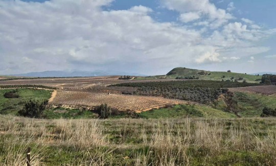 תמר שליט-אבני, מתוך ווידאו