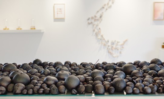 רועי כהן, שחר סיוון, כיכר