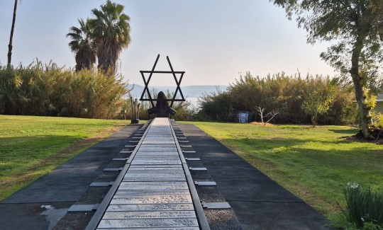 Tamar Shalit-Avni, from the video art "Anicha