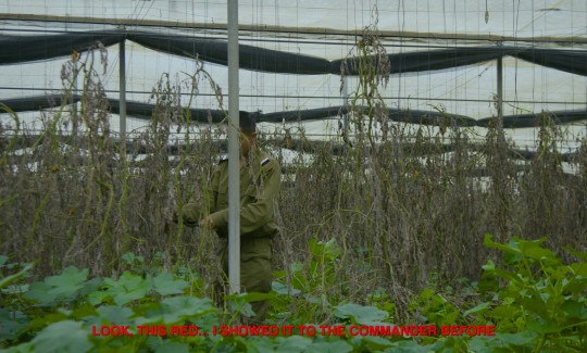 יונתן עומר מזרחי, טירה