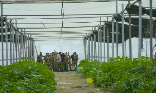 יונתן עומר מזרחי, טירה