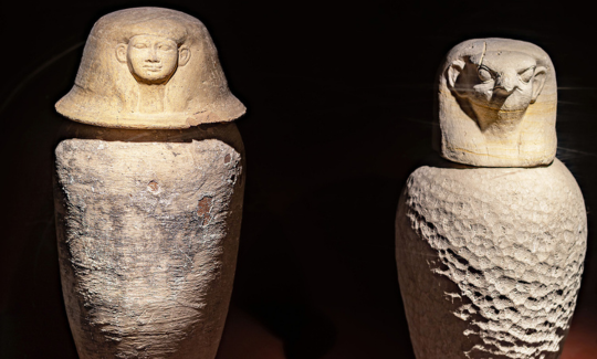 קרדיט: ג'ני כצנר