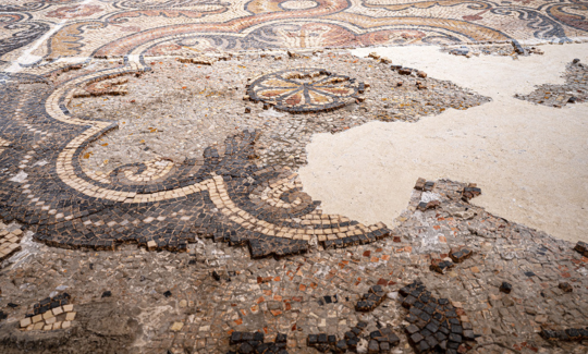 ائتمان: جيني كاتزنر