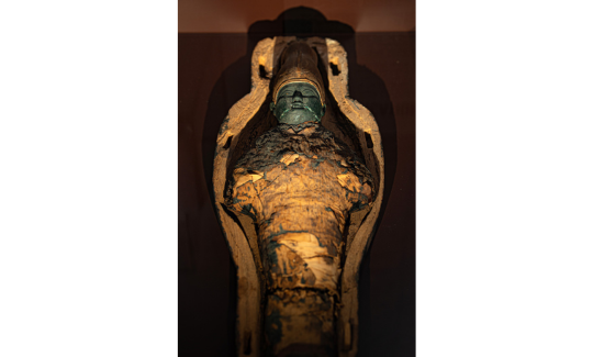 ائتمان: جيني كاتزنر