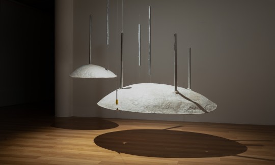 צילום: ג'ני כצנר