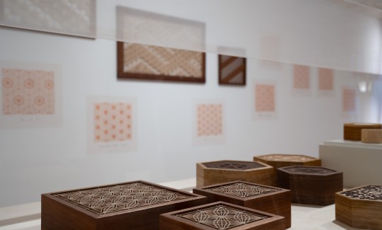 צילום: ג'ני כצנר