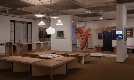 צילום: ג'ני כצנר