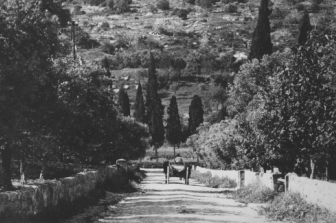 הבהאים והטמפלרים: יחסי שכנות, אמונה ובנייה בחיפה של המאה ה-19