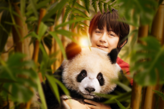 יאן ודב הפנדה