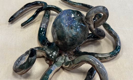 קרדיט: ג'ני כצנר