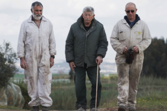 הקרנה מיוחדת | עמלים | My Bee Family