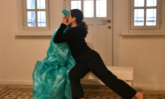 קרדיט צילום: יוסי סובה