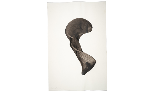 Avi Eisenstein, b. 1946, Brush Drawing, 2003