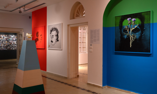 צילום: ג'ני כצנר