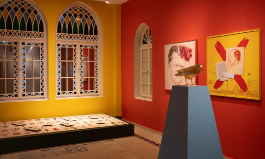 צילום: ג'ני כצנר