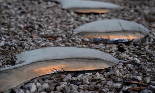 קרדיט: ג'ני כצנר