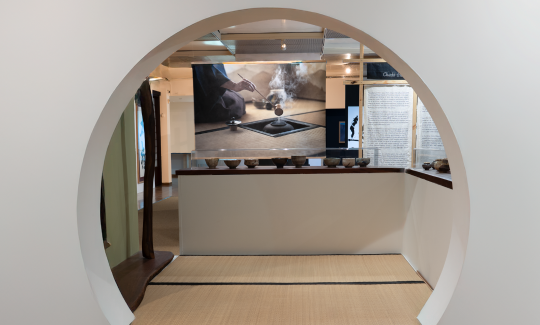 צילום: ג'ני כצנר